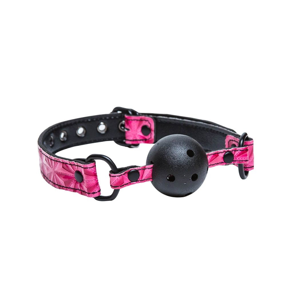 Sinful ball gag